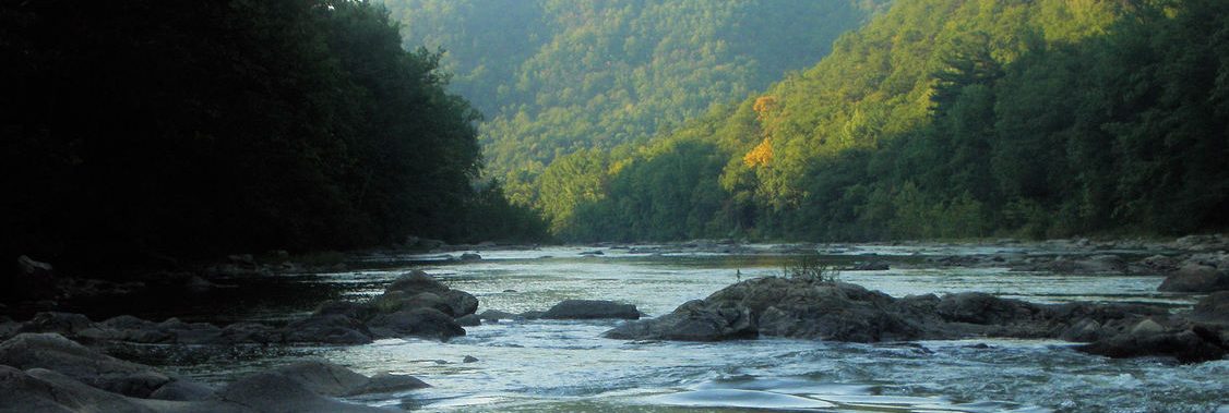 From the Pastor ~ November 2025