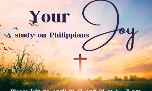 Discover Your Joy:  A Study of Philippians