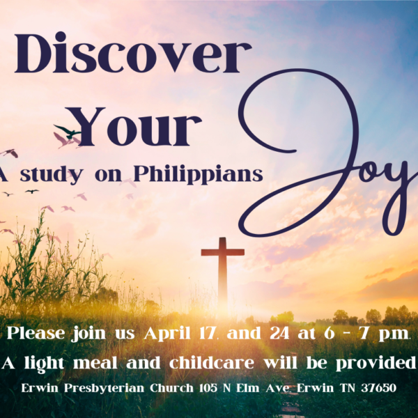 Discover Your Joy: A Study of Philippians - Week Two