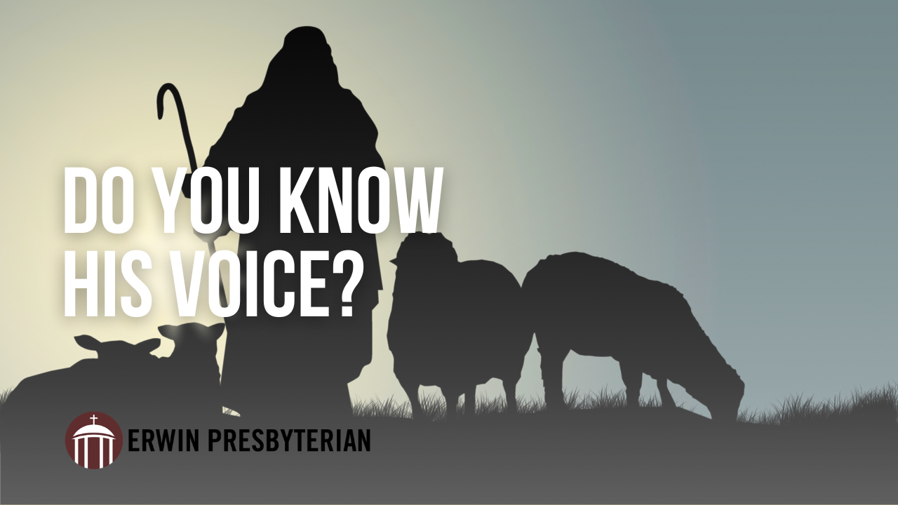 Do You Know His Voice? ~ Dr. Rev. Ramy N. Marcos