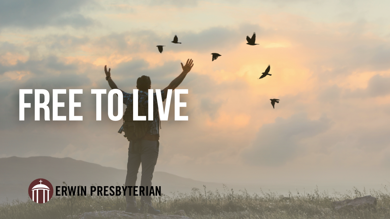 Free to Live ~ Rev. Dr. Ramy N. Marcos